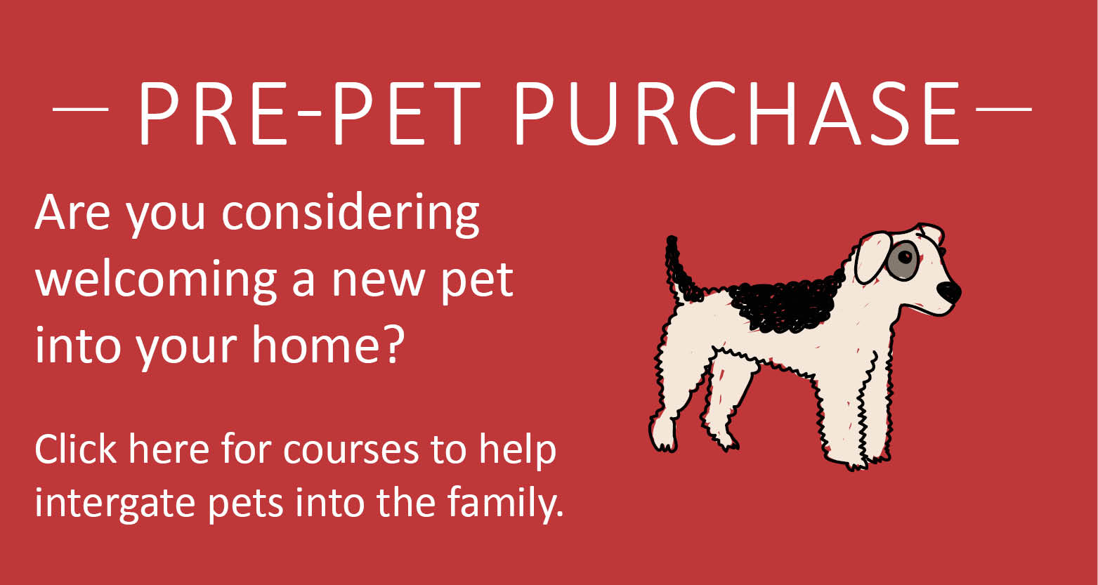 course - buying a pet